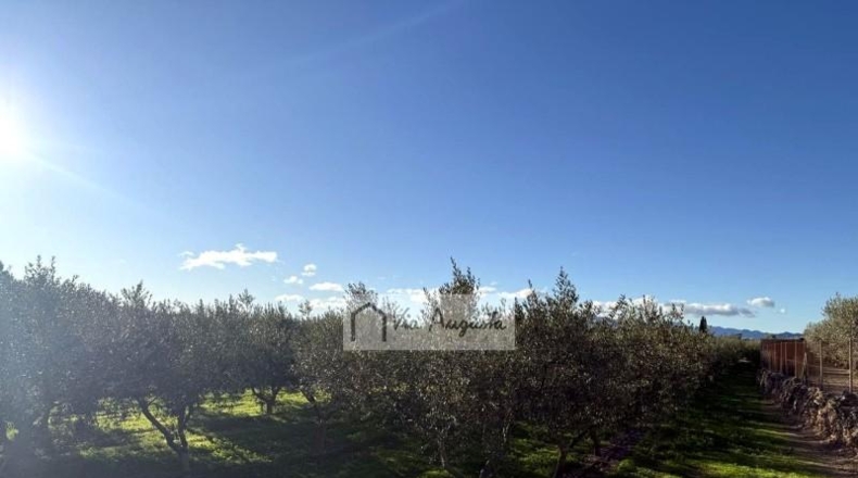 Tarragona - Móra d'Ebre - 2643m2