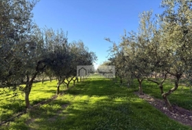 Móra d'Ebre 2643&nbsp;m² 