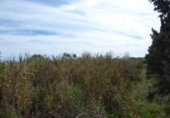 Non-developable land for sale on España, Sant Genís de Palafolls, ref: TR236691 photo