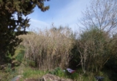 Non-developable land for sale on España, Sant Genís de Palafolls, ref: TR236691 photo