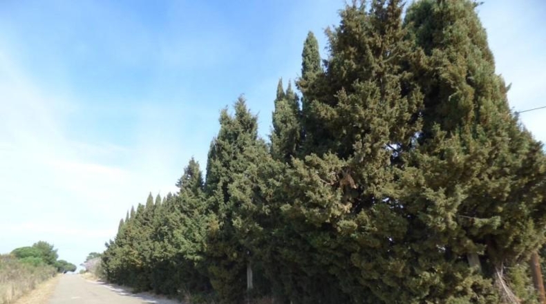 Barcelona - Palafolls - 6008m2