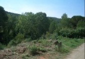 Sòl urbà en venda a la España, Canaletes, ref.: TR134466 foto