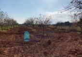Non-developable land for sale on España, Cartagena, ref: TR228574 photo