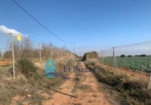 Non-developable land for sale on España, Cartagena, ref: TR228574 photo