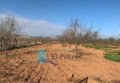Non-developable land for sale on España, Cartagena, ref: TR228574 photo