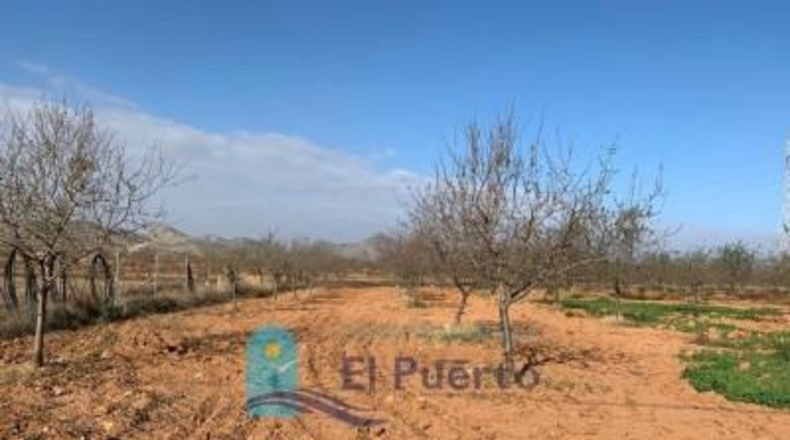 Murcia - Cartagena - 9m2