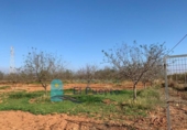 Non-developable land for sale on España, Cartagena, ref: TR228574 photo