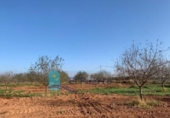 Non-developable land for sale on España, Cartagena, ref: TR228574 photo