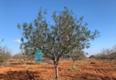 Non-developable land for sale on España, Cartagena, ref: TR228574 photo