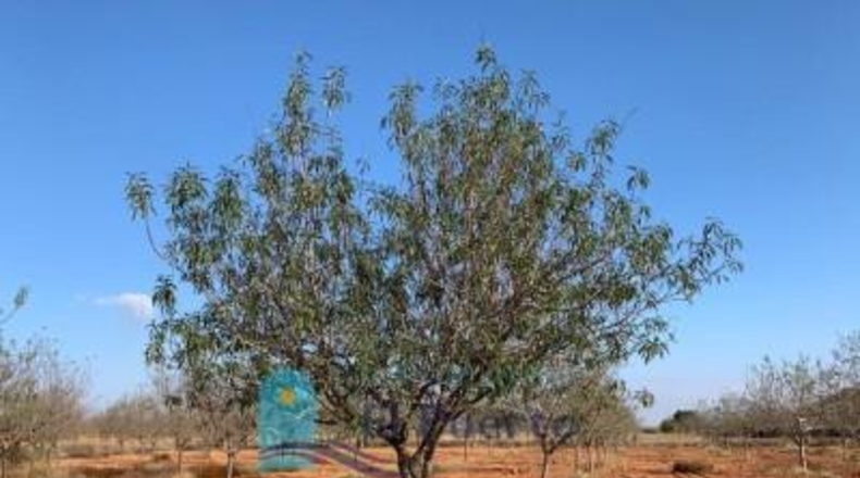 Murcia - Cartagena - 9m2