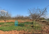 Non-developable land for sale on España, Cartagena, ref: TR228574 photo