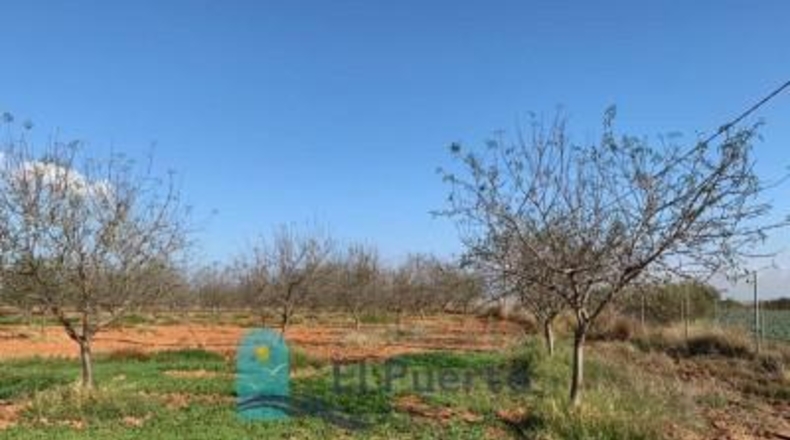 Murcia - Cartagena - 9m2