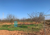 Non-developable land for sale on España, Cartagena, ref: TR228574 photo