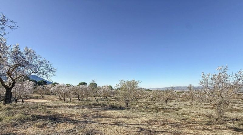 Alicante - Долорес - 30878m2