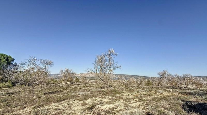 Alicante - Долорес - 30878m2