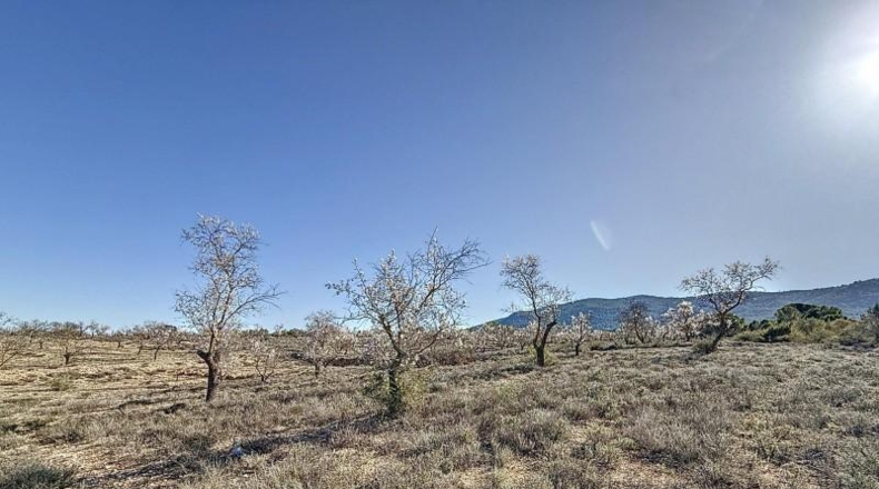 Alicante - Долорес - 30878m2