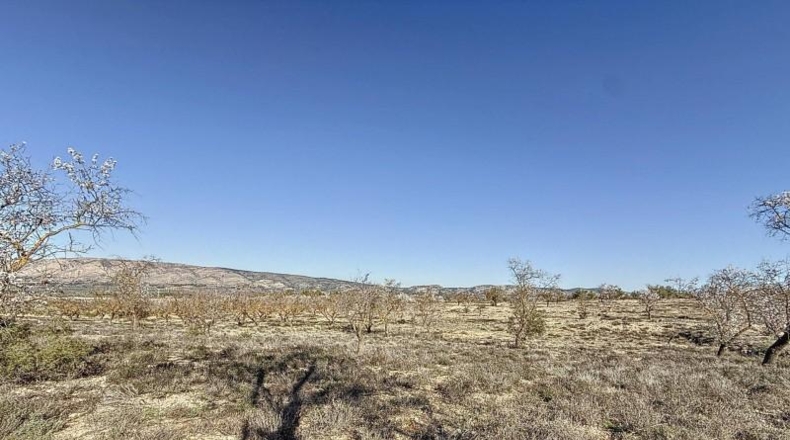 Alicante - Долорес - 30878m2