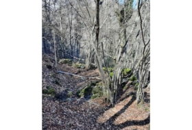 Canejan 3000&nbsp;m²