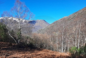 Canejan 3000&nbsp;m²