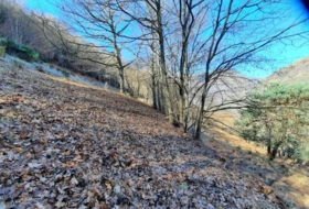 Canejan 3000&nbsp;m²