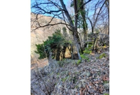 Canejan 3000&nbsp;m²