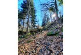 Canejan 3000&nbsp;m²