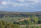 Non-developable land for sale on España, Guarromán, ref: TR218631 photo
