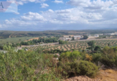 Non-developable land for sale on España, Guarromán, ref: TR218631 photo