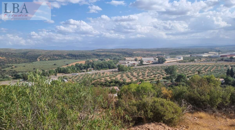 Jaén - Guarromán - 4000m2