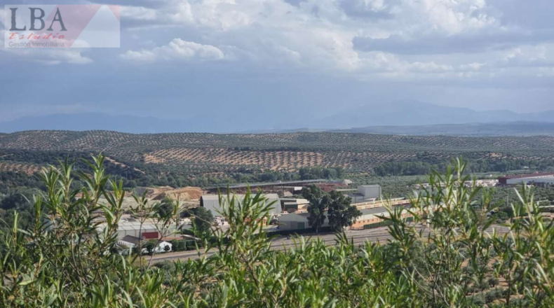 Jaén - Guarromán - 4000m2