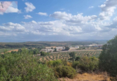Non-developable land for sale on España, Guarromán, ref: TR218631 photo
