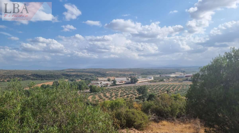 Jaén - Guarromán - 4000m2