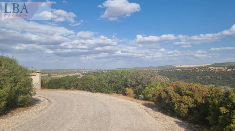 Jaén - Guarromán - 4000m2
