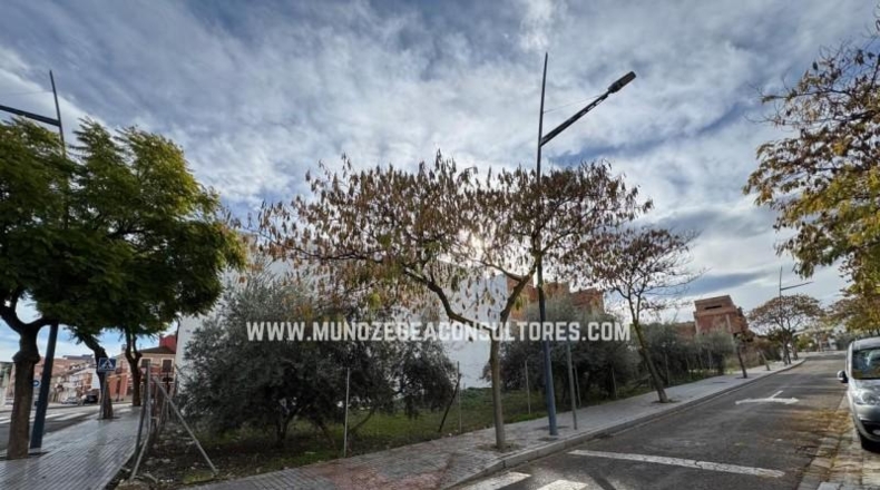Córdoba - Lucena - 124m2
