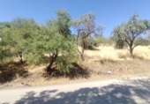 Parcela urbanizable en venta en la España, Valdepeñas, ref: TR315060 foto