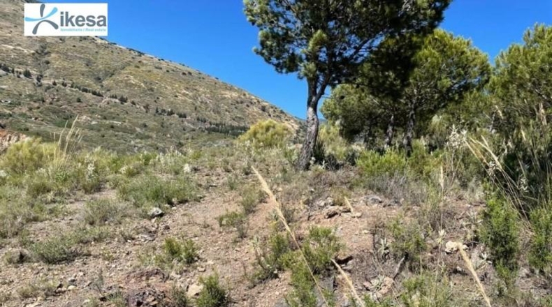 Granada - Órgiva - 55m2