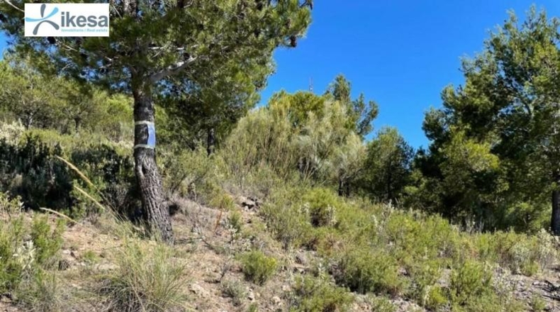 Granada - Órgiva - 55m2