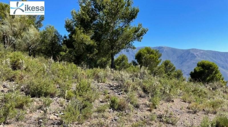 Granada - Órgiva - 55m2