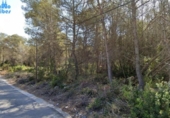 Non-developable land for sale on España, Sant Pere de Ribes, ref: TR119837 photo