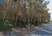 Non-developable land for sale on España, Sant Pere de Ribes, ref: TR119837 photo