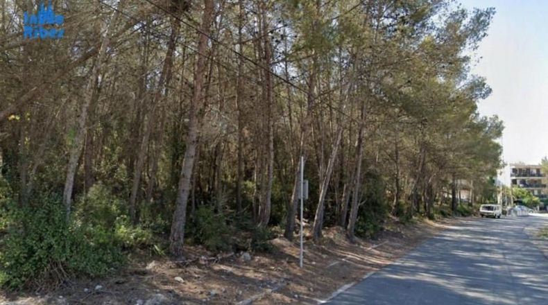 Barcelona - Sant Pere de Ribes - 1513m2