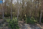 Non-developable land for sale on España, Sant Pere de Ribes, ref: TR119837 photo