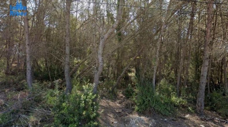Barcelona - Sant Pere de Ribes - 1513m2