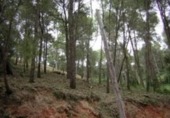 Sòl urbà en venda a la España, Piera, ref.: TR124789 foto