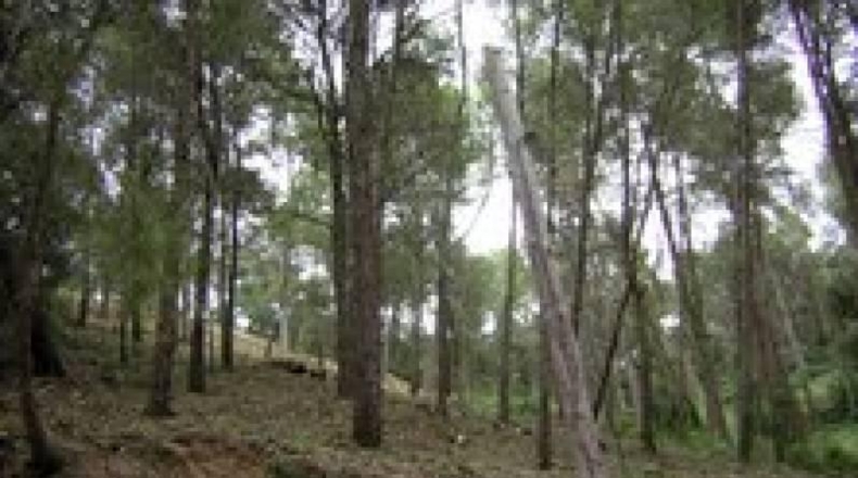 Barcelona - Piera - 577m2