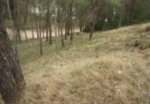 Sòl urbà en venda a la España, Piera, ref.: TR124789 foto