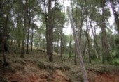 Sòl urbà en venda a la España, Piera, ref.: TR124789 foto
