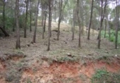 Sòl urbà en venda a la España, Piera, ref.: TR124789 foto