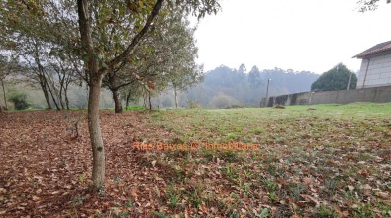 Pontevedra - Porriño - 730m2