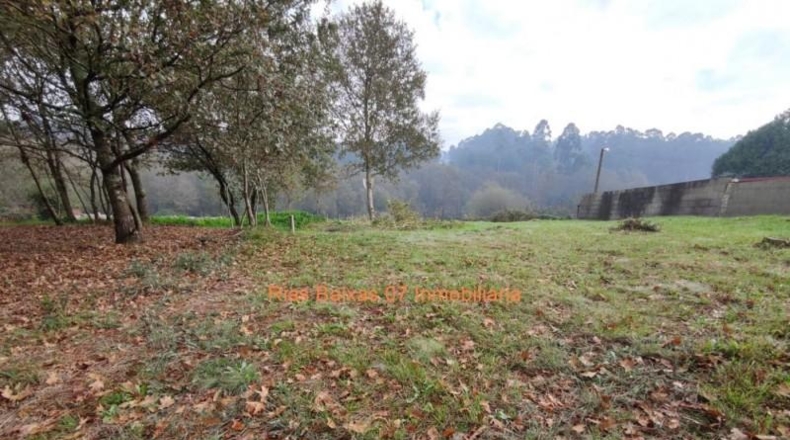 Pontevedra - Porriño - 730m2